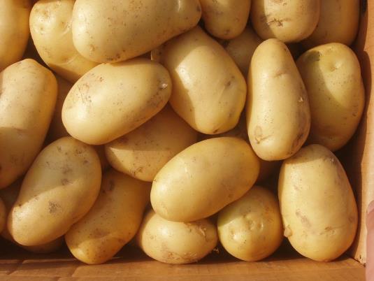 Potatoes in a box